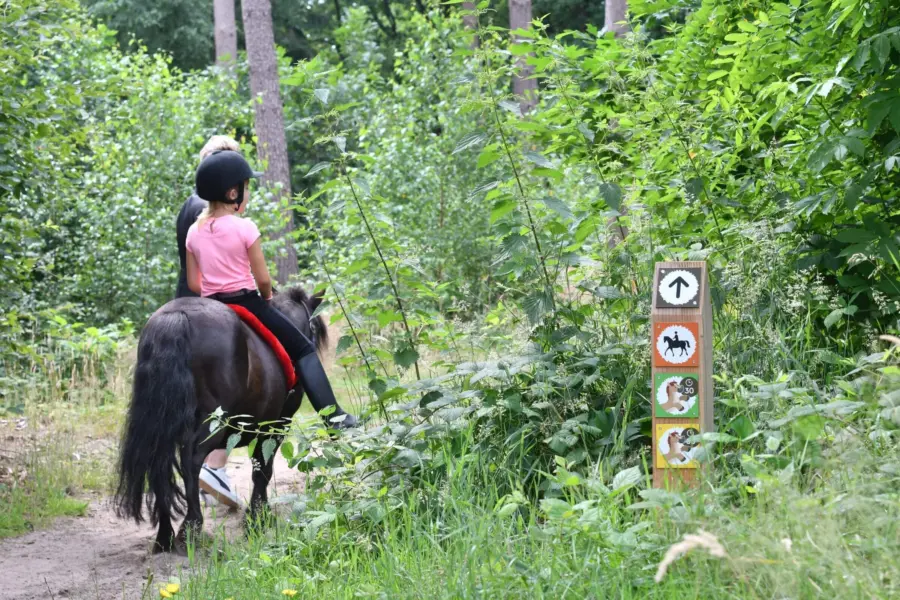 Camping met verzorgpony Ommen 9