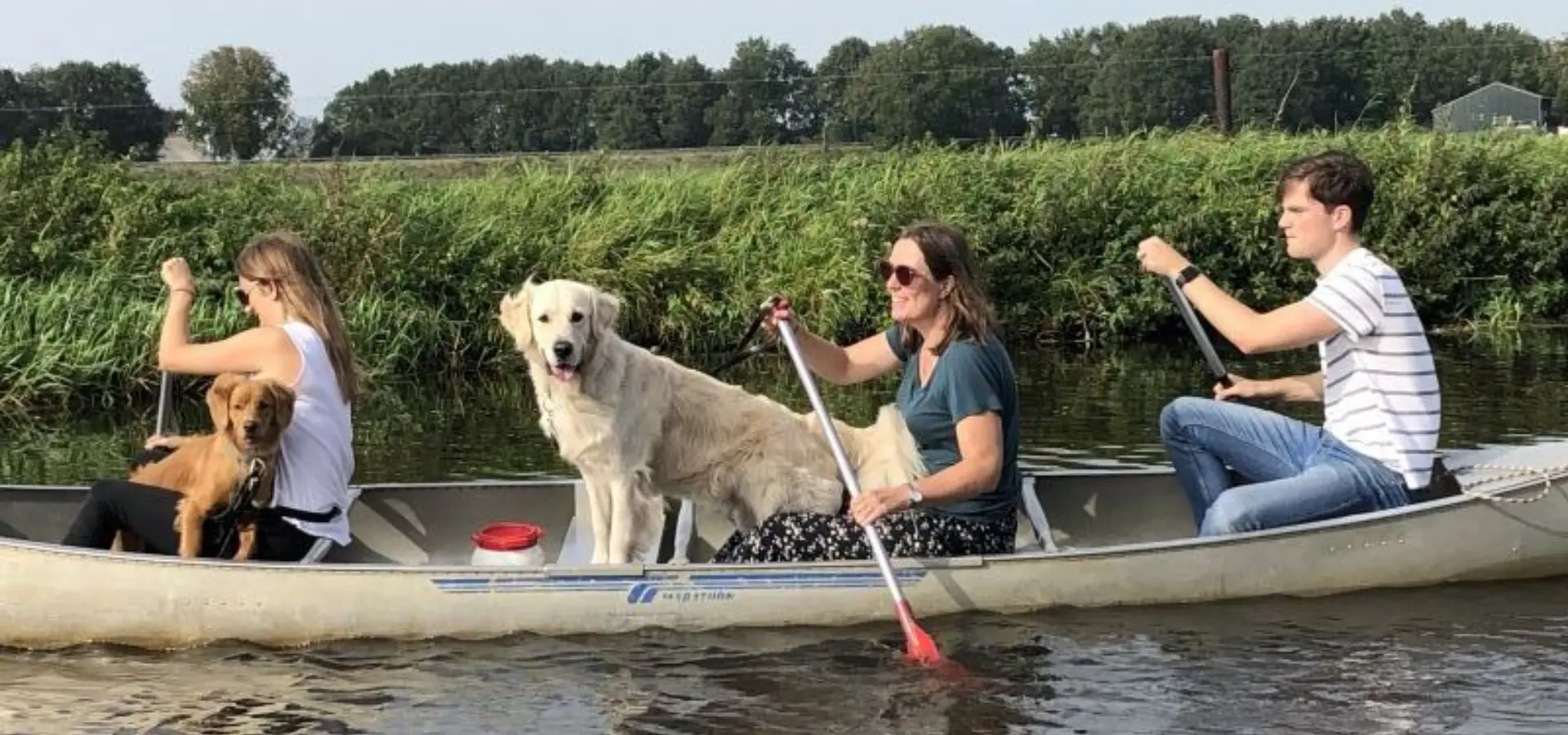 Hondenvakantie Ommen 2