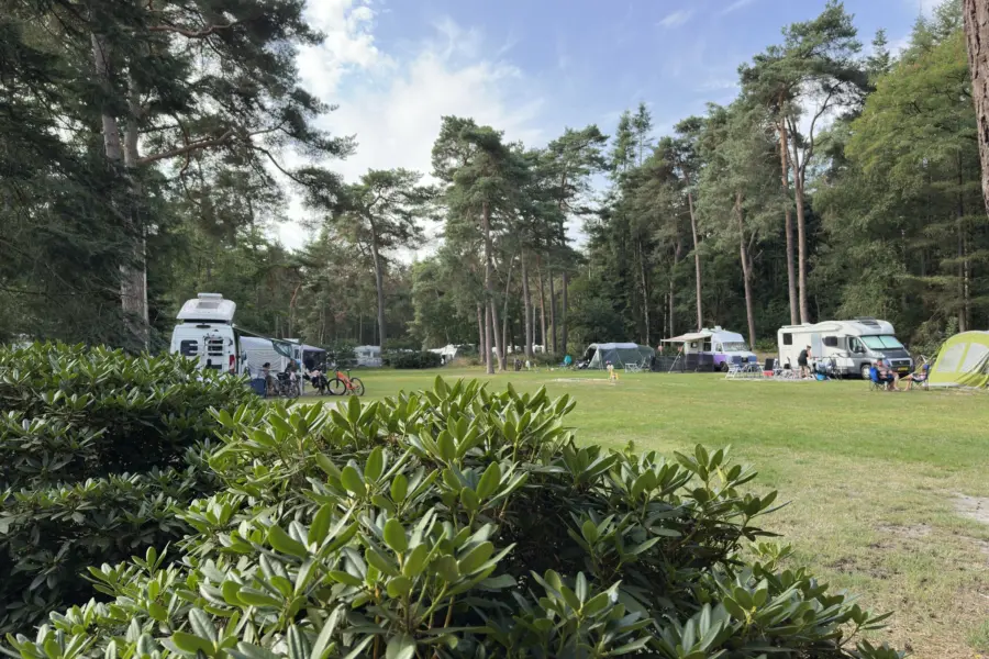 Camping Overijssel Ommerberg 11