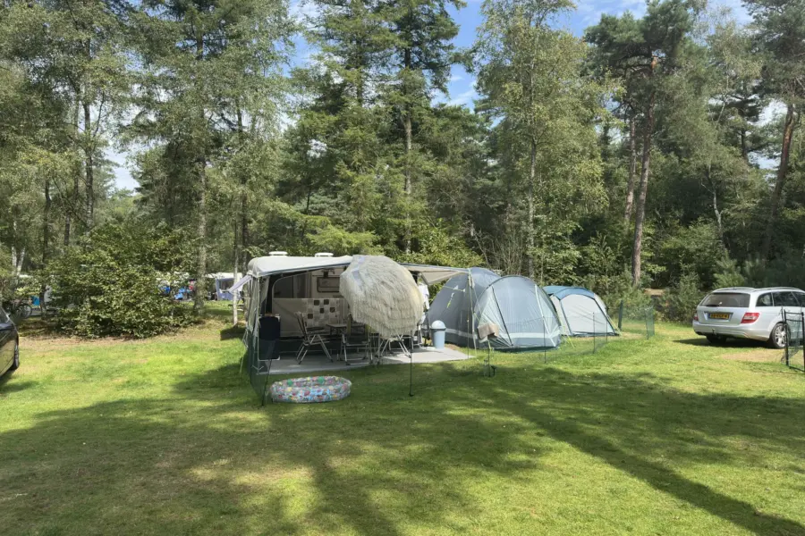 Camping Overijssel Ommerbos 11