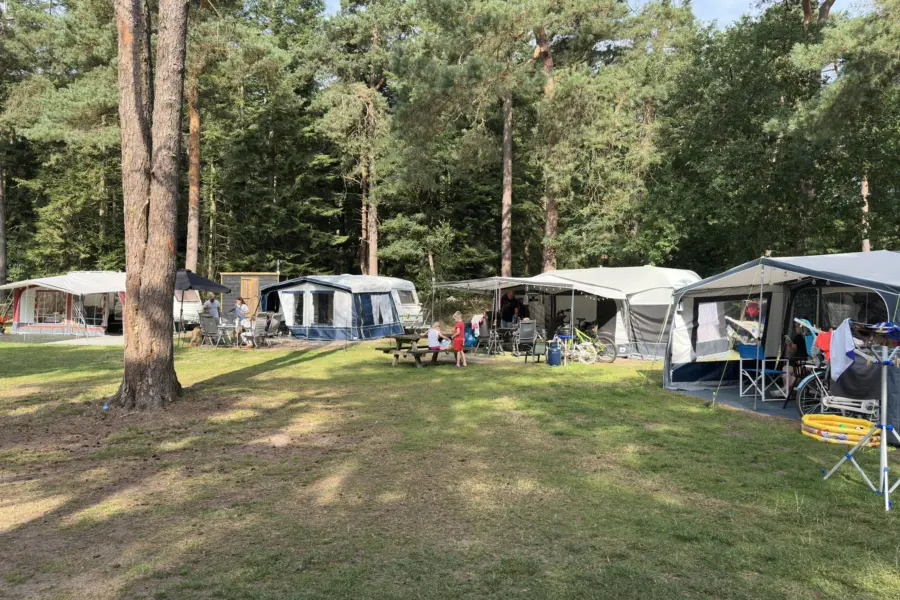Camping Overijssel Ommerberg 41