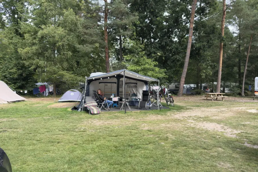 Camping Overijssel Ommerhout 33