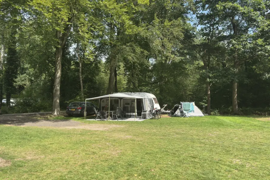 Hondencamping Nederland Ommervallei 5