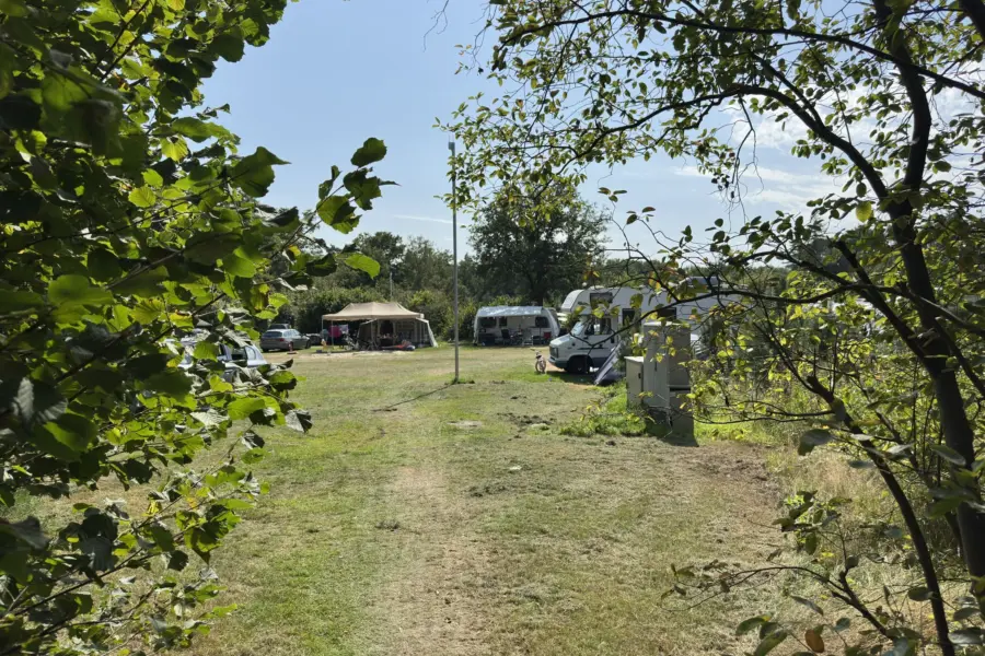 Camping Ommen Ommergras 9