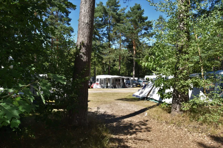 Camping Ommen met zwembaden 12