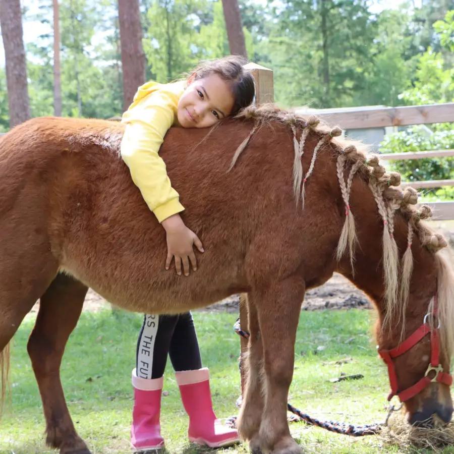 Camping met verzorgpony Ommen 1